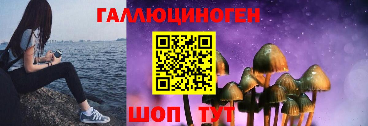 Псилоцибиновые грибы GOLDEN TEACHER  Псилоцибиновые грибы Cubensis  Каменск-Шахтинский  Вход с VPN 